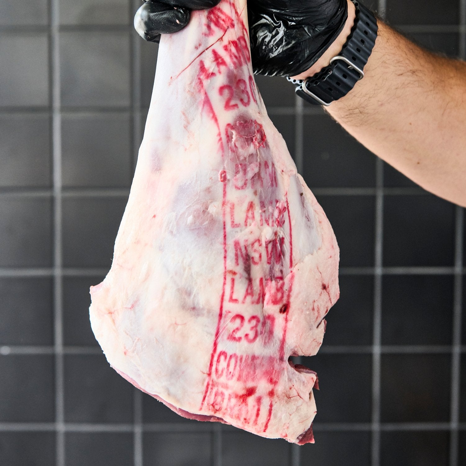 Lamb