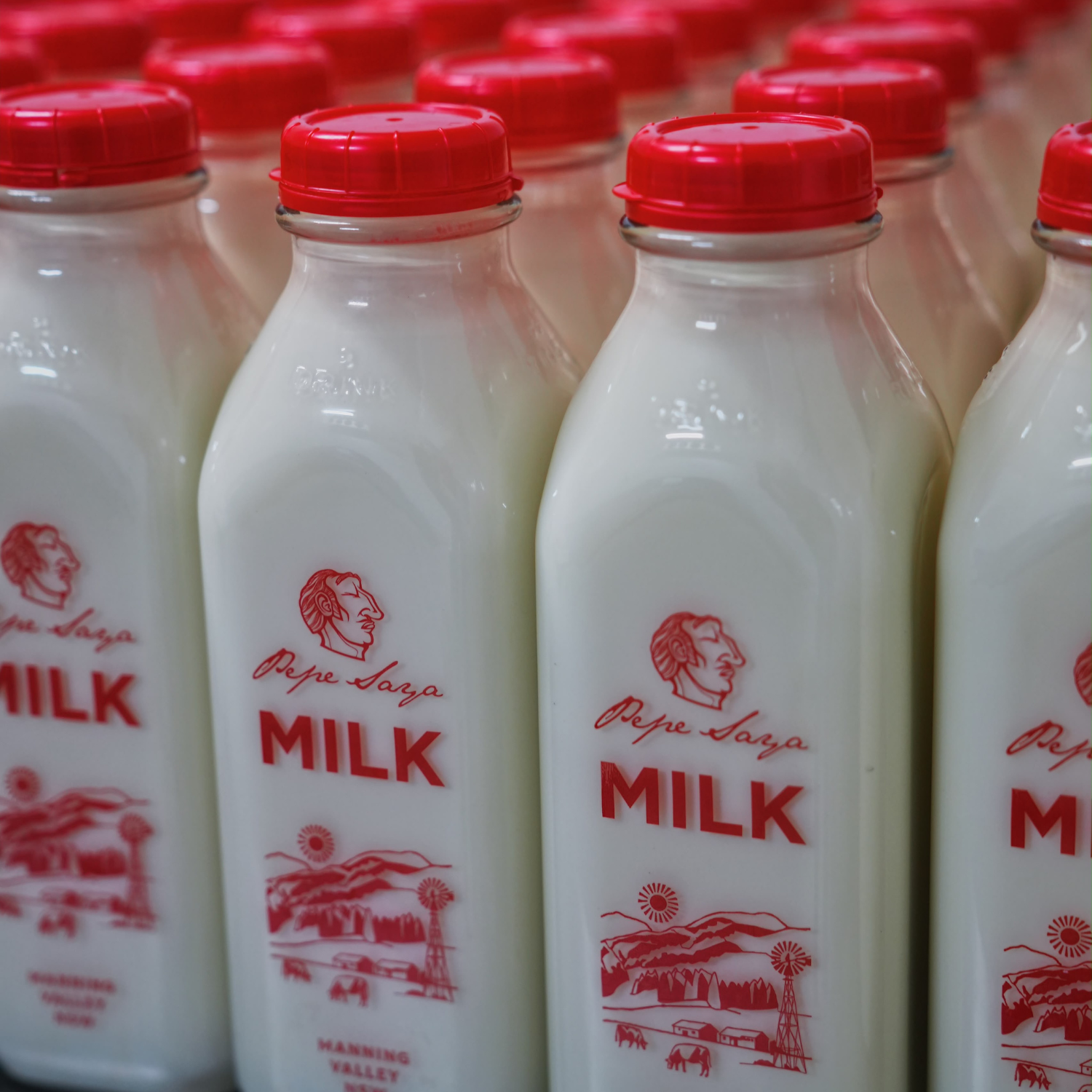 Pepe Saya - Unhomogenised Milk 1L | Reusable Glass Bottle