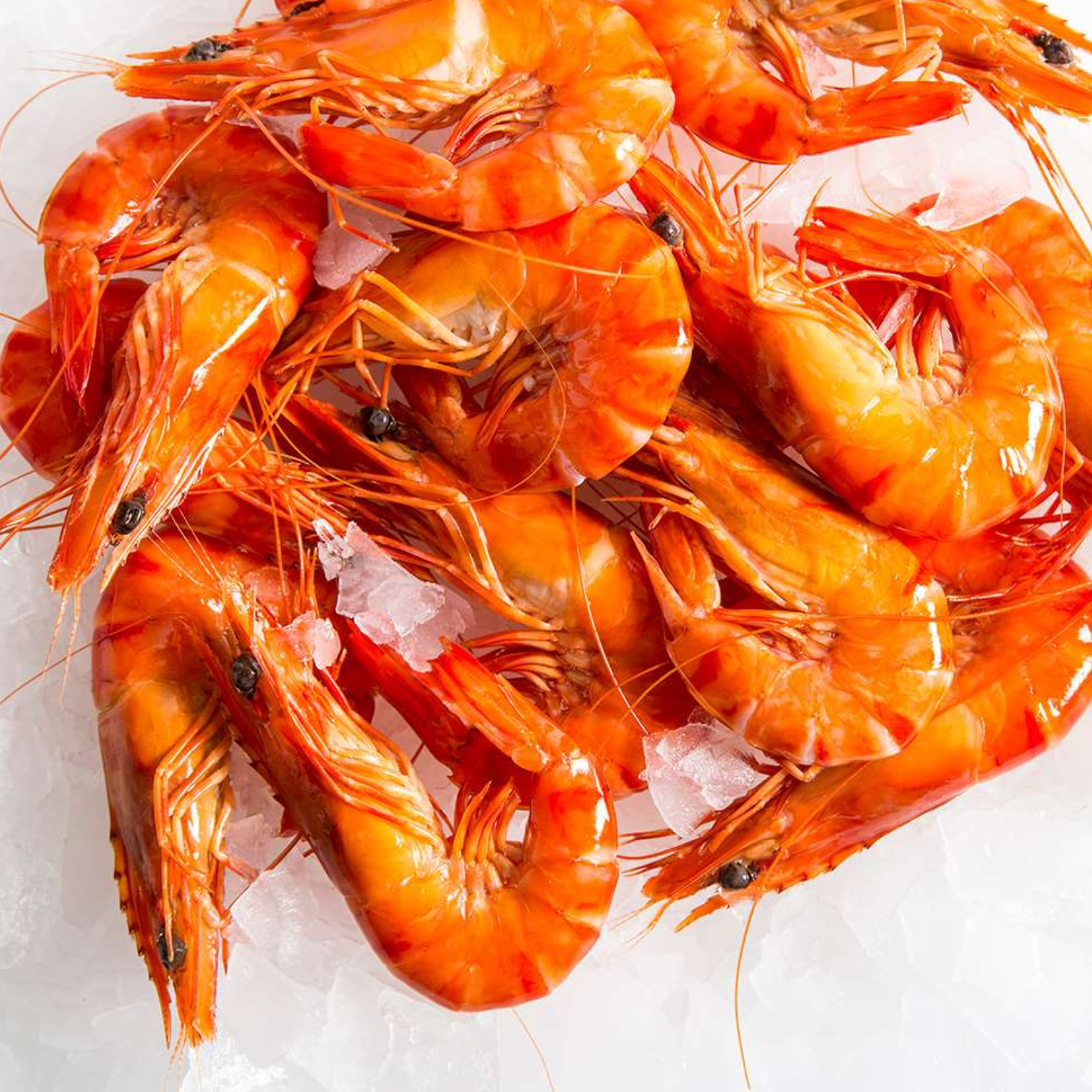 Large cooked QLD Tiger Prawns (kg)
