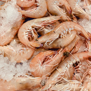 Large Green King Prawns