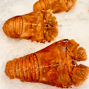 Cooked Morton Bay Bugs