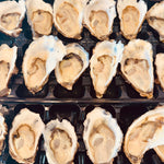 Large Sydney Rock Oysters