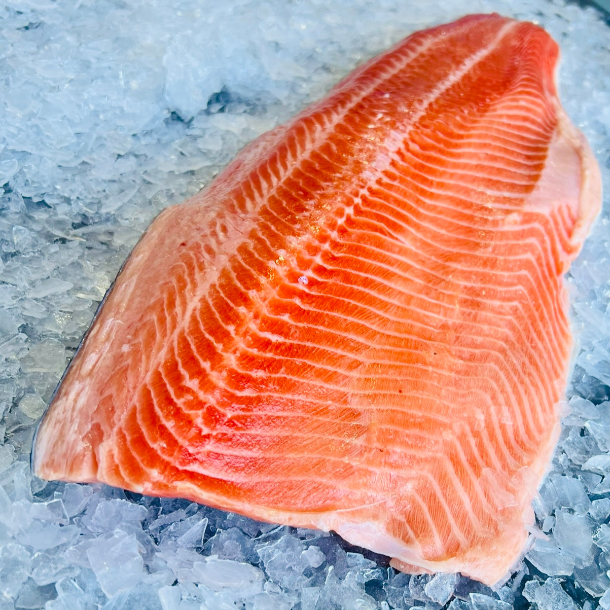 Side of King Ora Salmon (Skin on)