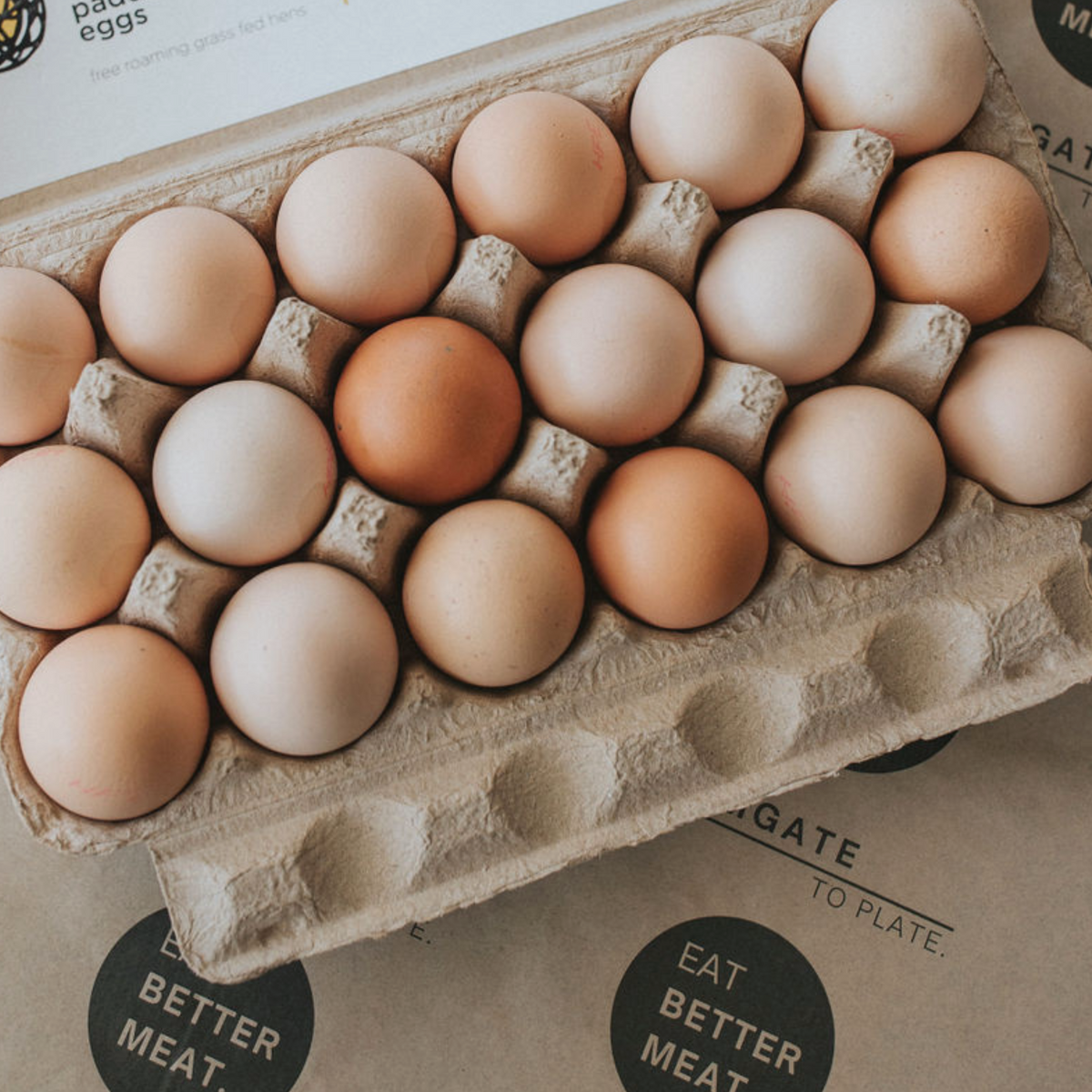 Springbrook Egg Holbrook Pastured Eggs – True Free Range, Low-Stocking Density Eggs ...
