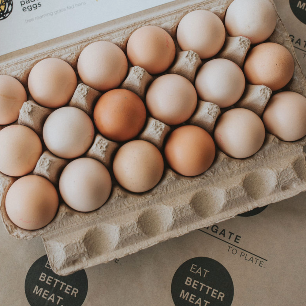 Holbrook Pastured Eggs